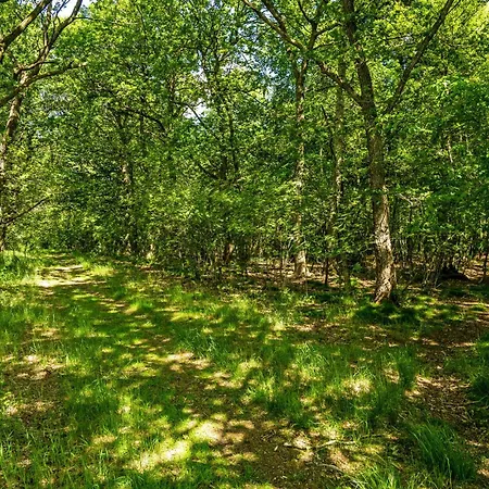 1 Bedroom Gorgeous In * Hampen