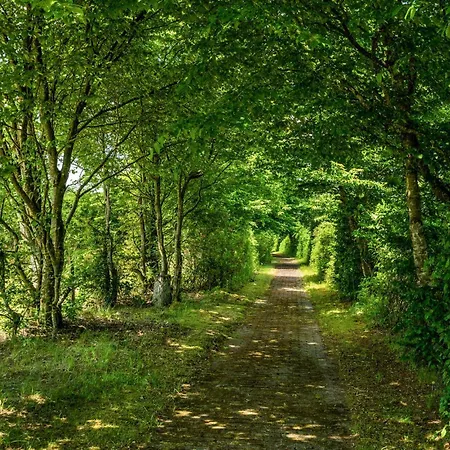 1 Bedroom Gorgeous In Feriehus Hampen